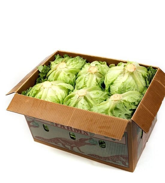 Lettuce Iceberg carton