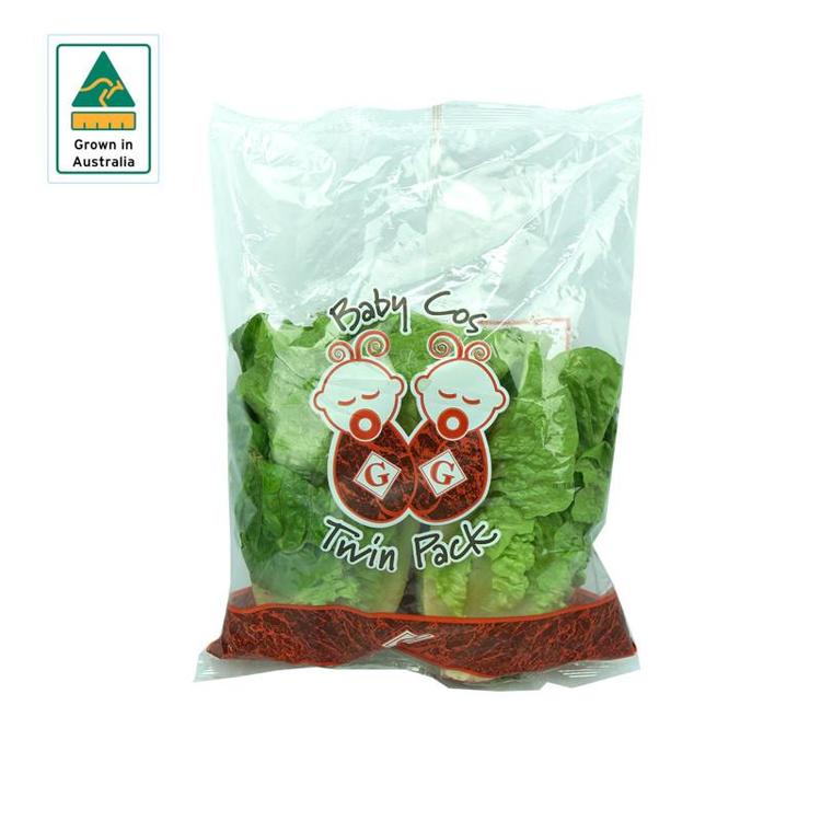 Lettuce Cos Twin Pack carton