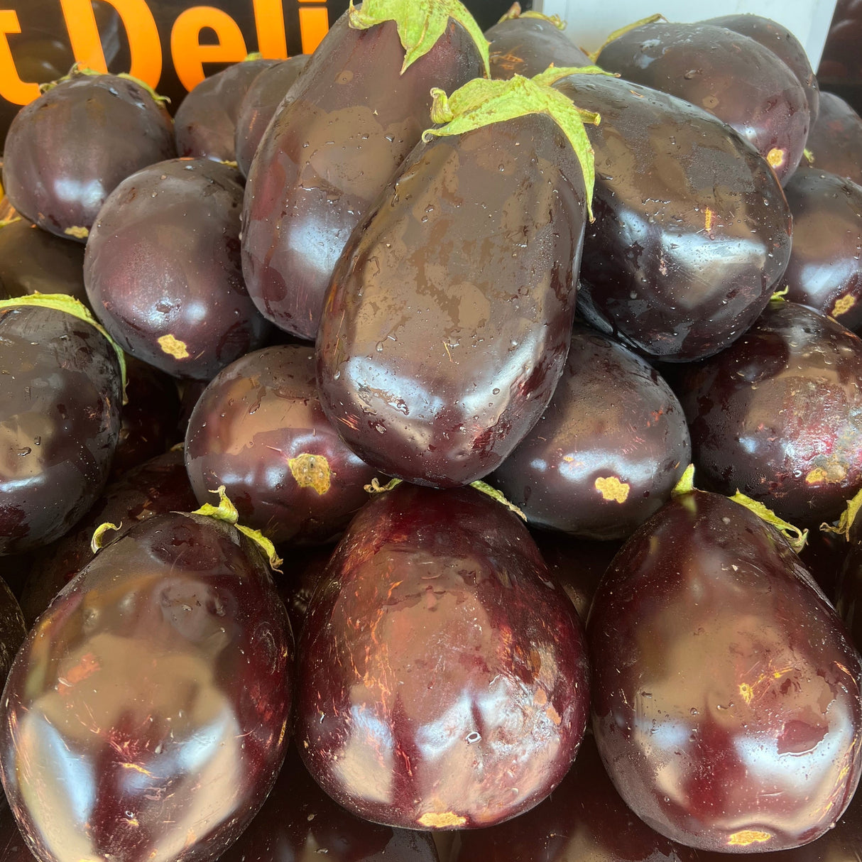 Eggplant local each ** Super Special** available at The Prickly Pineapple