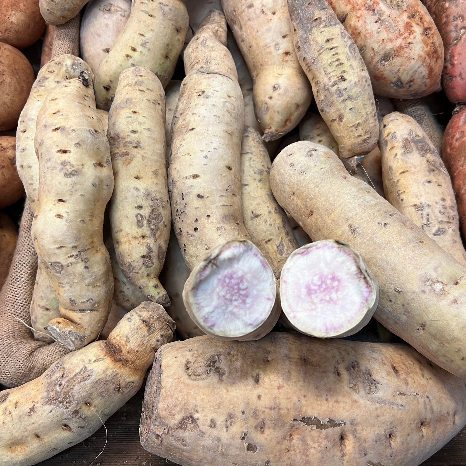Potatoes Sweet White per kg available at The Prickly Pineapple