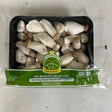 Mushroom King Oyster Mini 300g available at The Prickly Pineapple