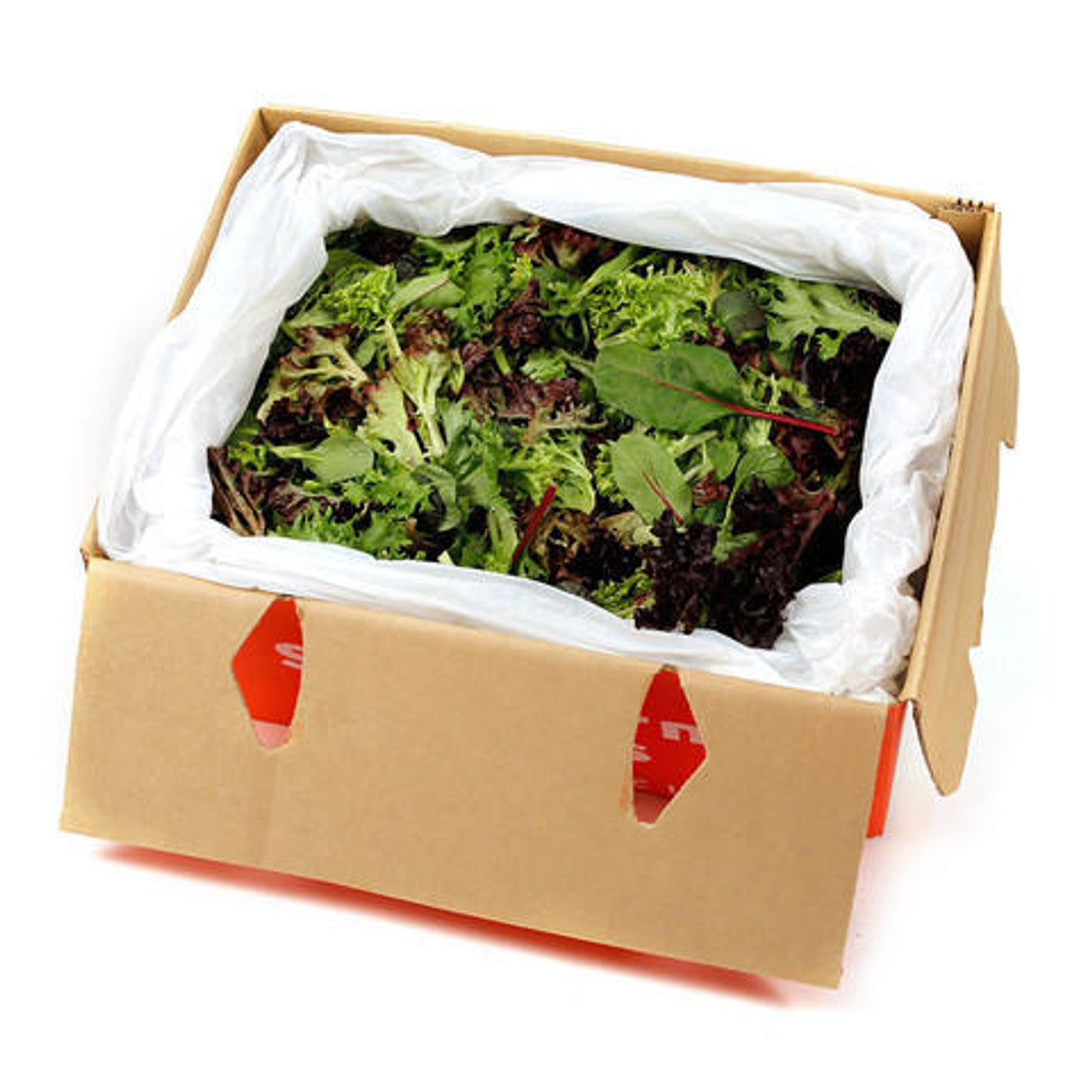 Lettuce Mix 1.5kg Mesculin carton available at The Prickly Pineapple