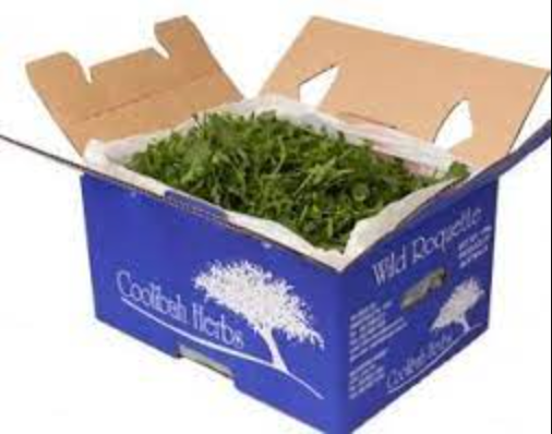 Rocket carton 1.5kg