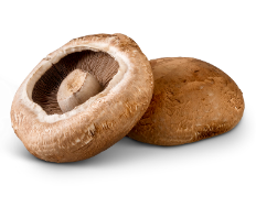 Mushrooms 3kg Portobello carton