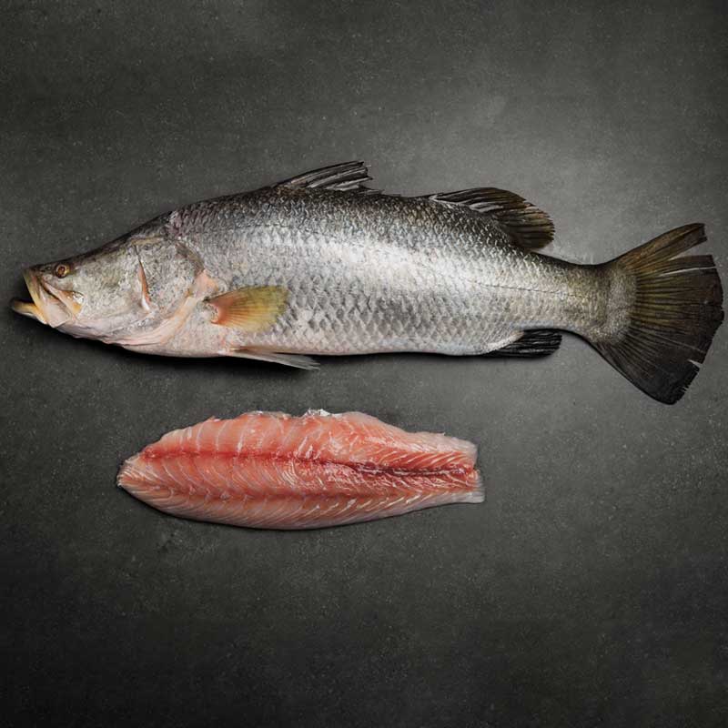 Saltwater Farmed Barramundi per kg available at The Prickly Pineapple