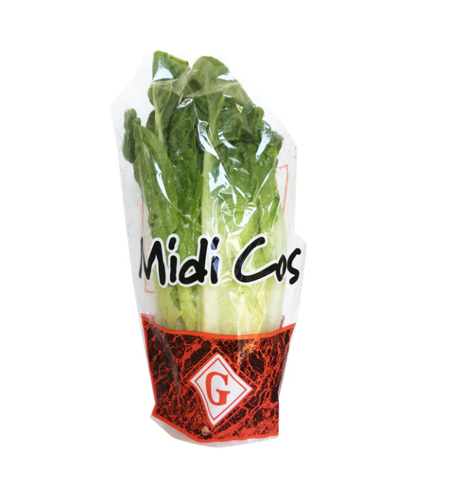 Lettuce Cos Midi carton