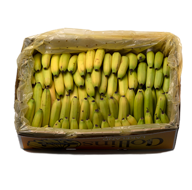 Bananas Cavendish 15kg carton