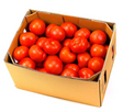 Tomatoes Gourmet Large 10kg carton available at The Prickly Pineapple