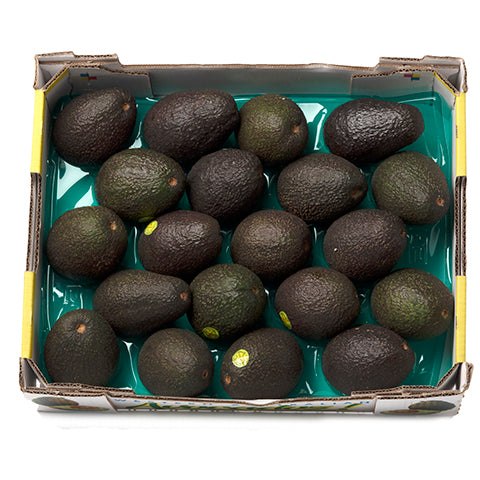 Avocado Hass Large tray