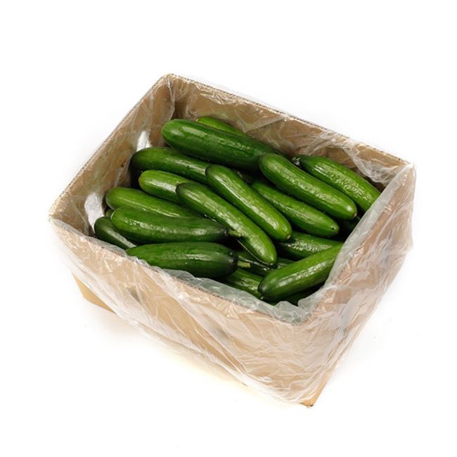 Cucumbers Lebanese 10kg carton