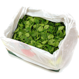 Spinach carton 1.5kg