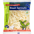 Living Sprouts Bean Sprouts 250g available at The Prickly Pineapple