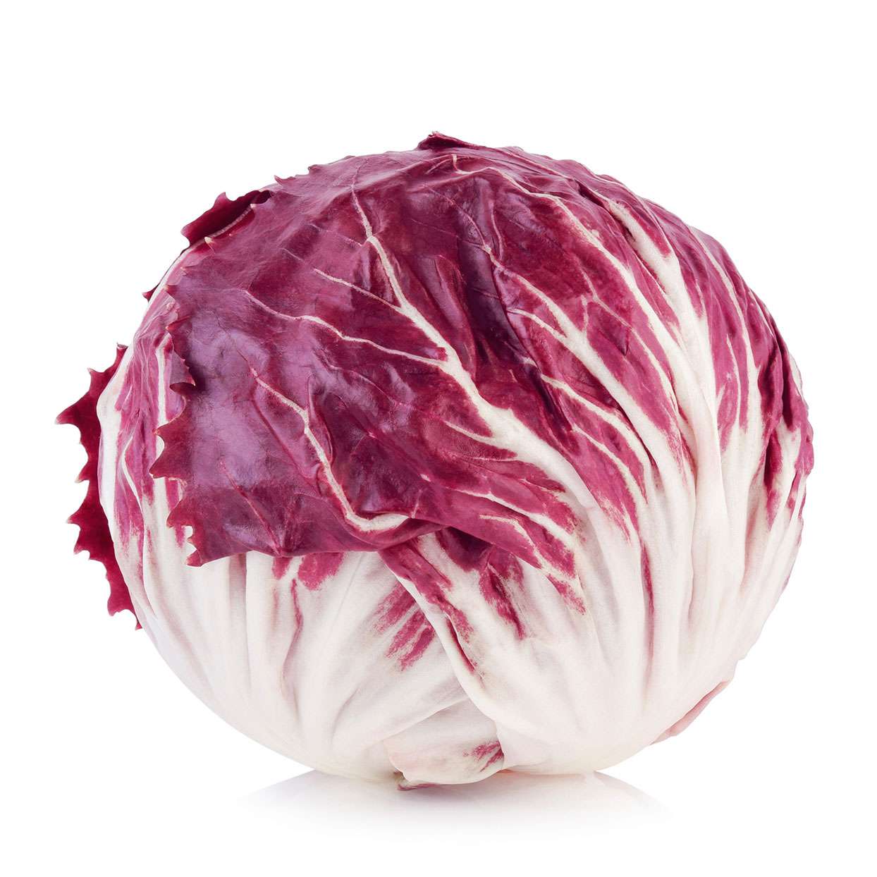 Radicchio each available at The Prickly Pineapple