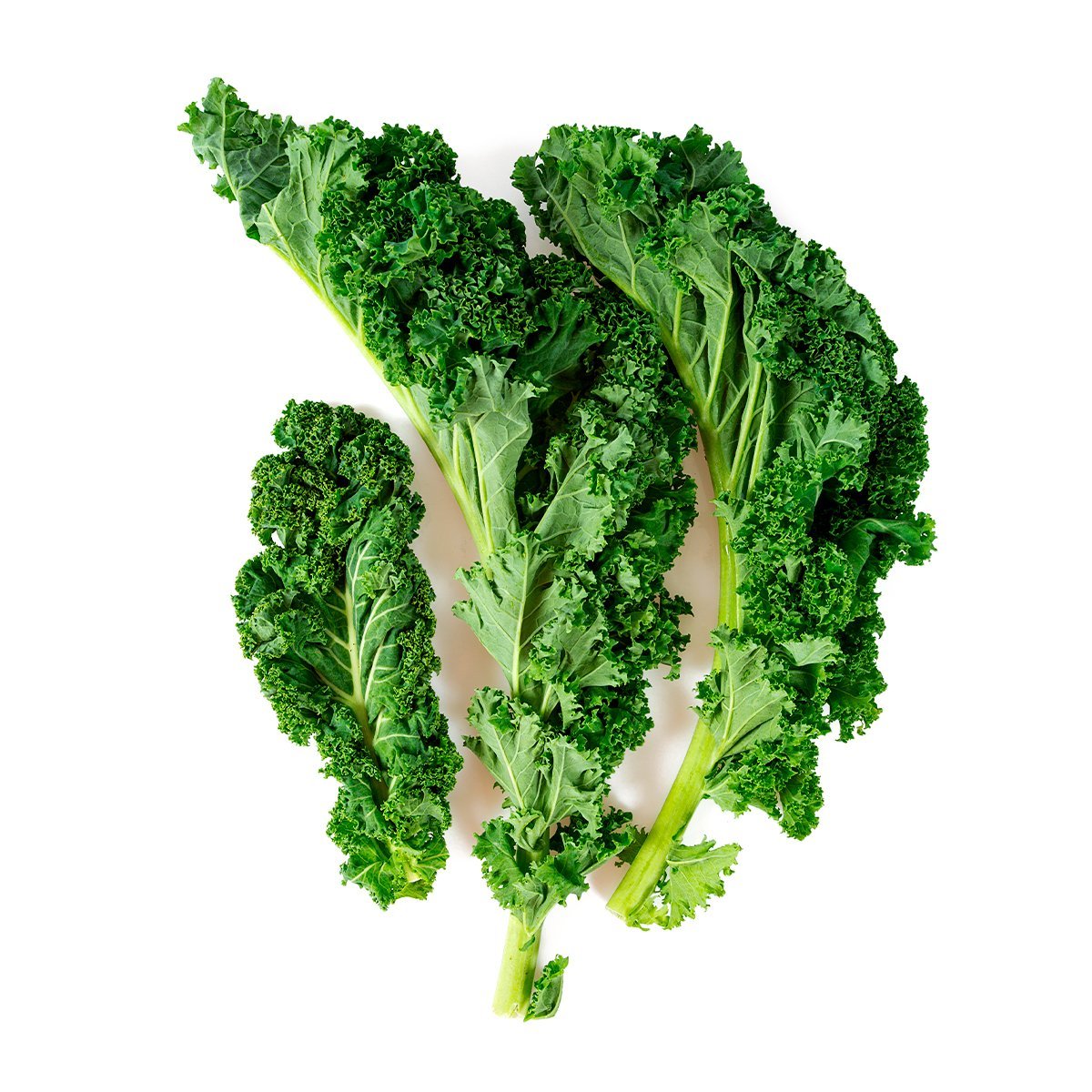 Organic Kale Green Bunch