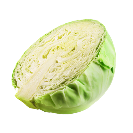 organic cabbage half