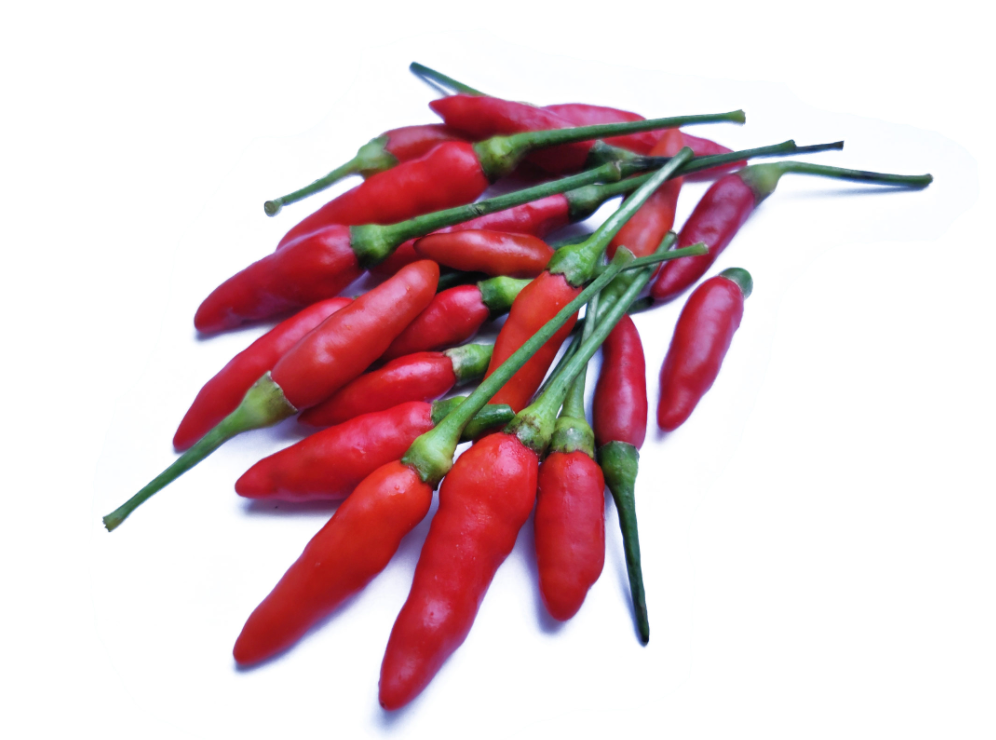 Chilli Birds Eye per kg