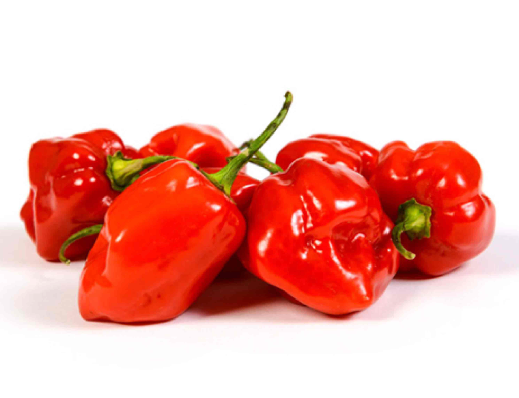 Chilli Habanero per kg