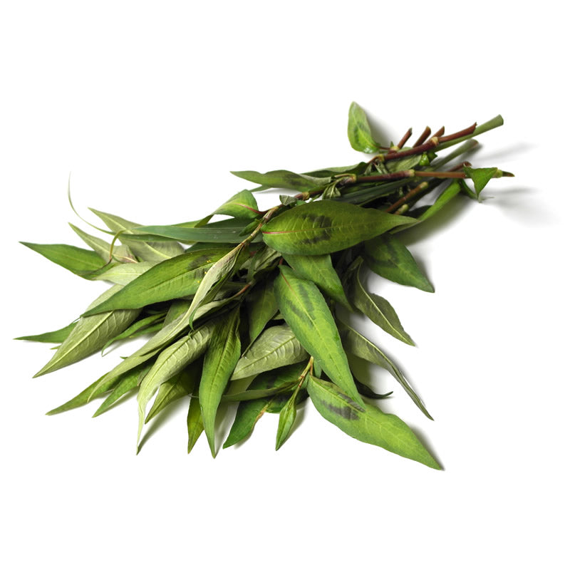 Herb Vietnamese Mint