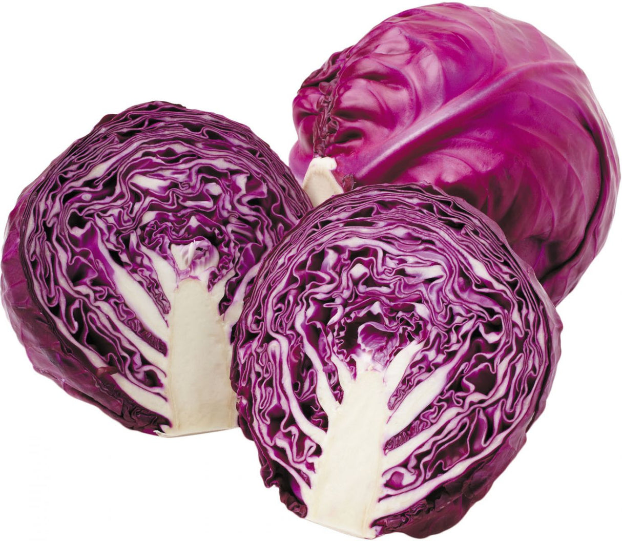Cabbage Red each