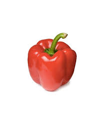 Capsicum Red each