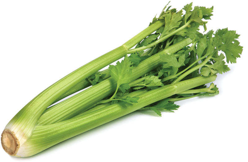 Celery Bunch Large