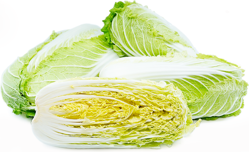 Cabbage Chinese half