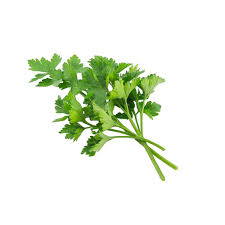 Herb Parsley Italian / Continental