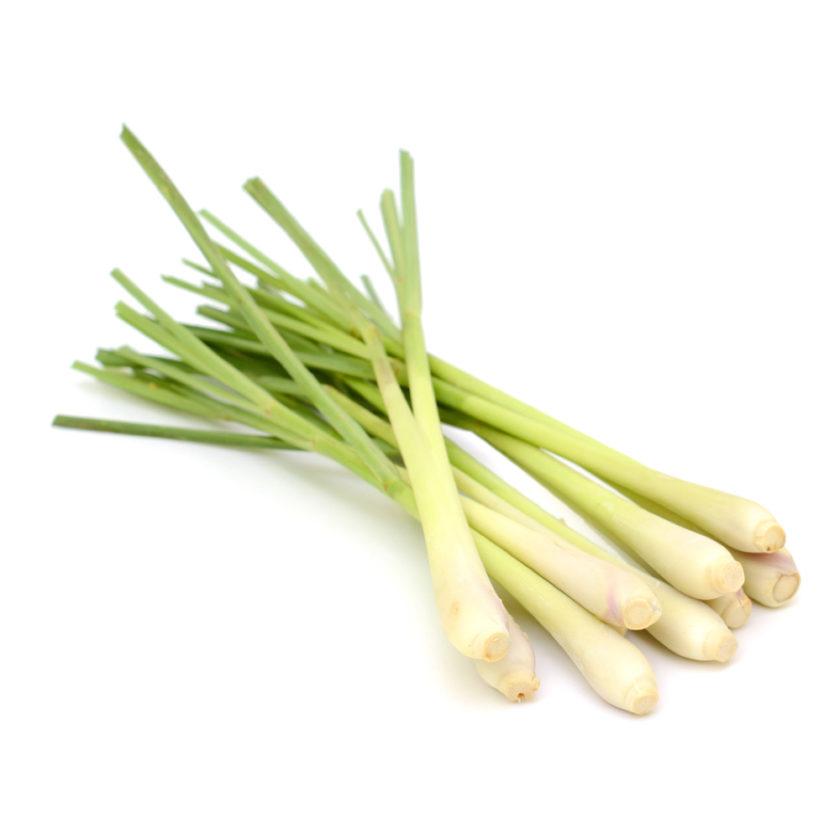 Herb Lemongrass bunch