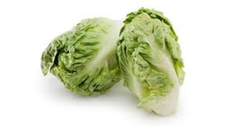 Lettuce Twin Cos Pack