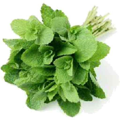Herb Mint