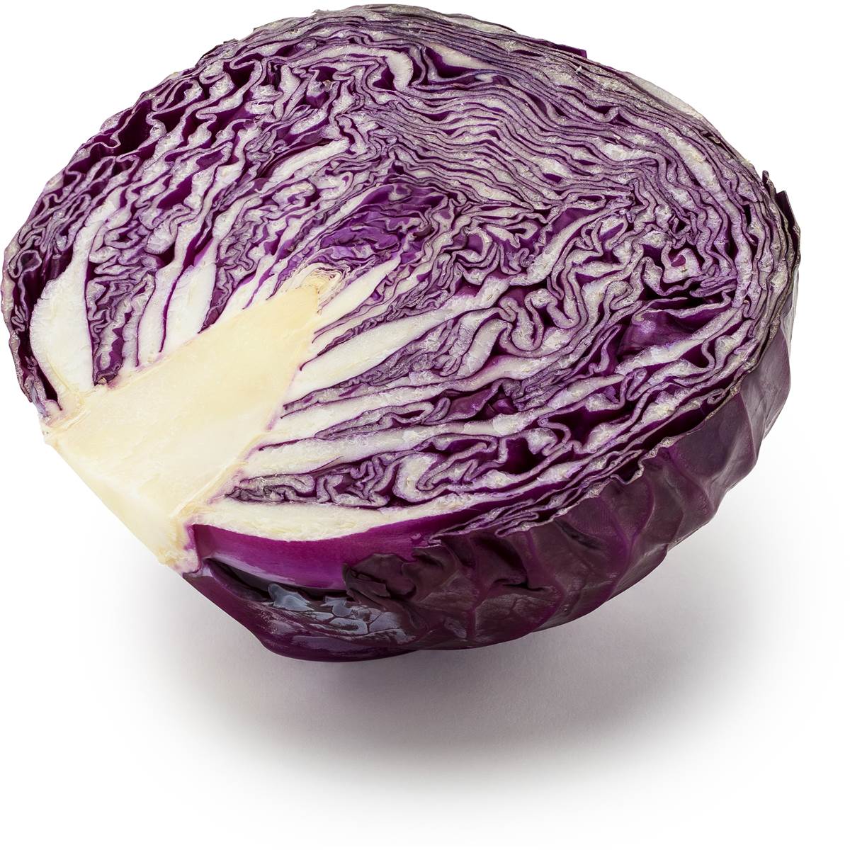 Organic Cabbage Red 1/2