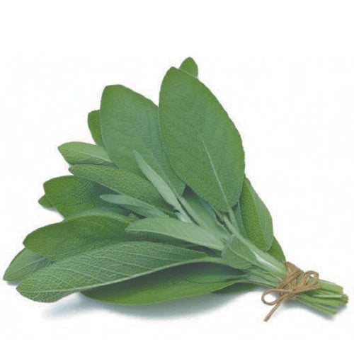 Herb Sage