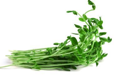 Snow Pea Sprouts 100g