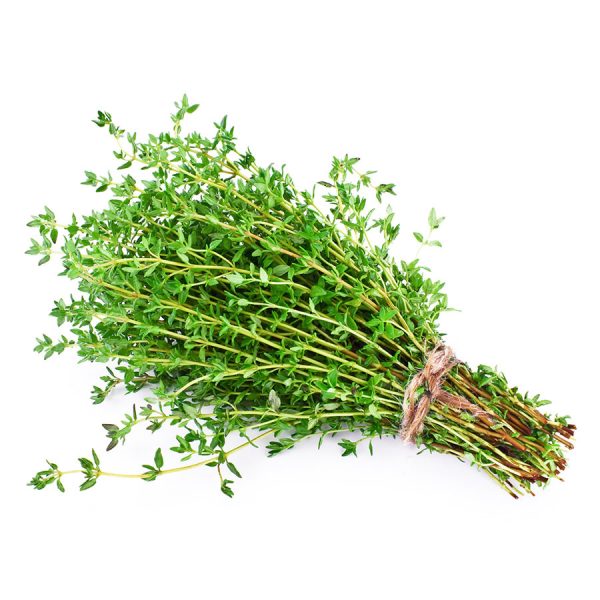 Thyme bunch at The Prickly Pineapple