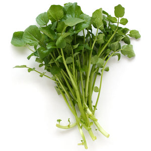 Herb Watercress punnet each