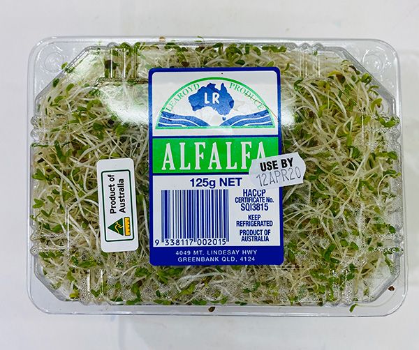 Alfalfa sprouts available at The Prickly Pineapple