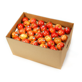 Apples Gala Large carton 12kg available at The Prickly Pineapple