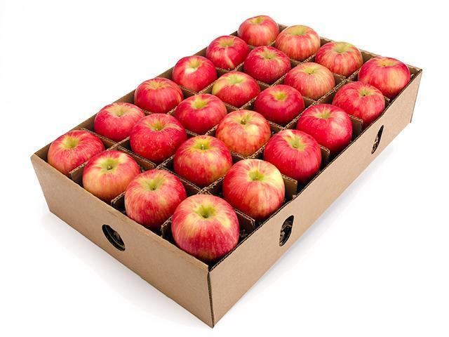 Apples Jazz Large carton 12kg