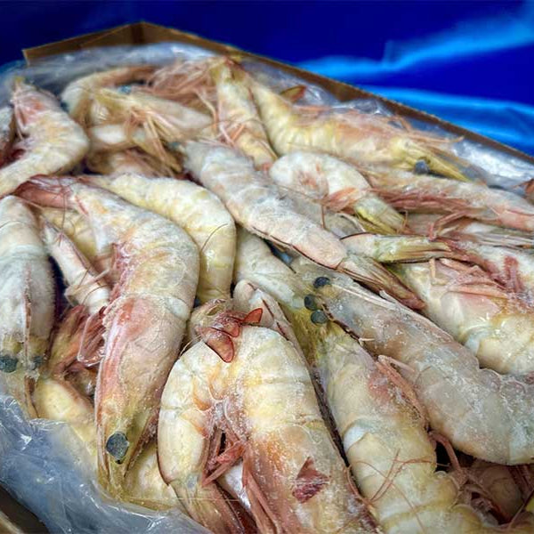 Banana Prawns LRG Raw 1kg bags available at The Prickly Pineapple