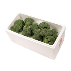 Broccoli 8kg carton available at The Prickly Pineapple