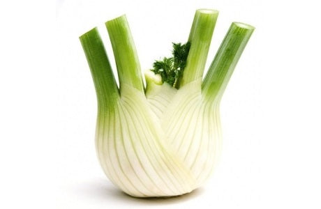 Organic Fennel bulb available at The Prickly Pineapple