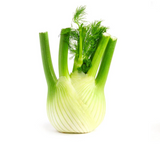 Fennel Carton available at The Prickly Pineapple
