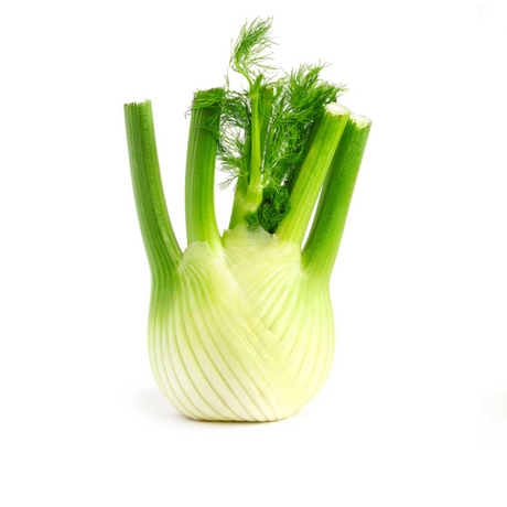 Fennel Carton available at The Prickly Pineapple