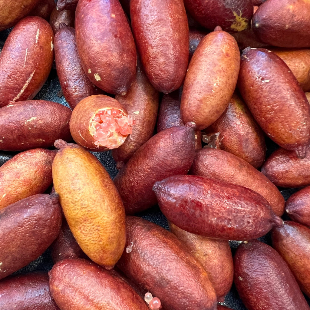 Finger Lime per kg available at The Prickly Pineapple