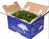 Rocket carton 1.5kg