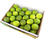 Limes 10kg carton