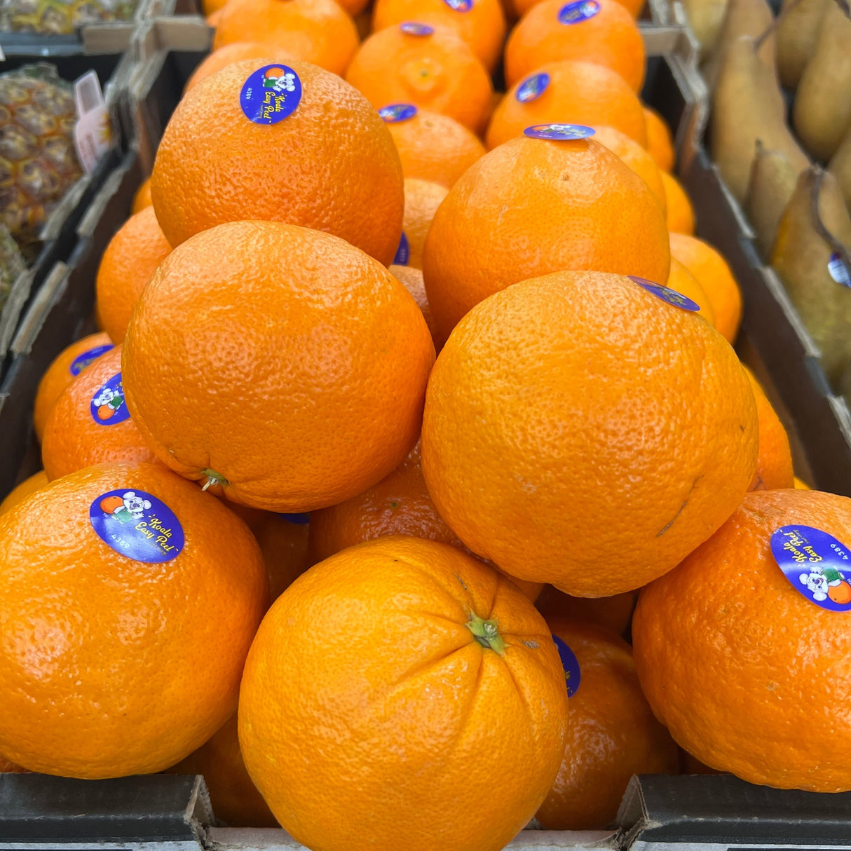 Oranges Easy Peel Navels per kg available at The Prickly Pineapple