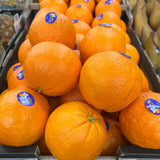 Oranges Easy Peel Navels per kg available at The Prickly Pineapple