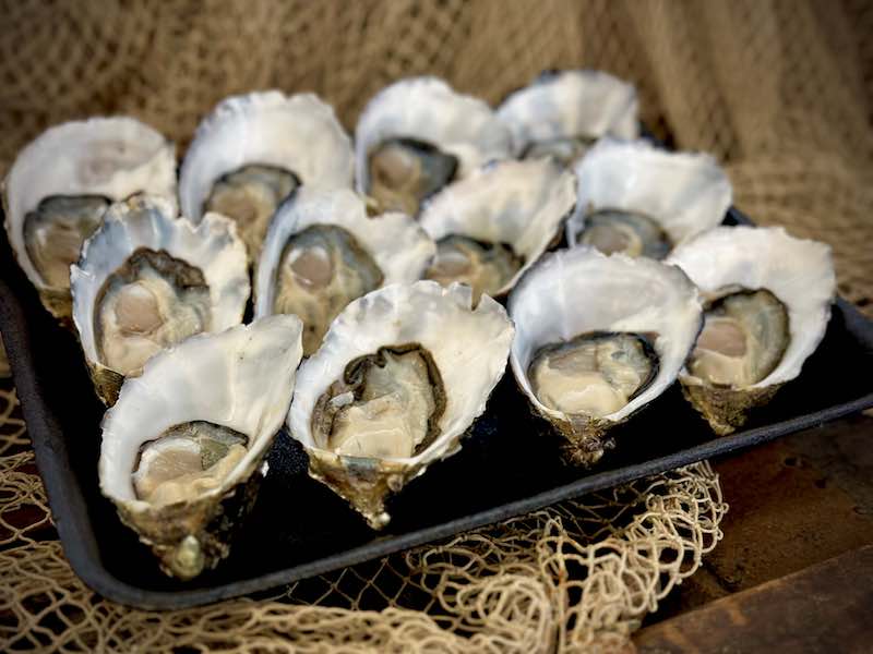 Oysters 1 dozen (SA) available at The Prickly Pineapple