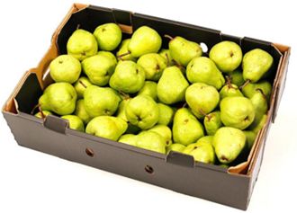 Pears Green 13kg carton available at The prickly Pineapple